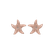 Náušnice s diamantom Glossy Starfish5
