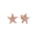 Náušnice s diamantom Glossy Starfish3